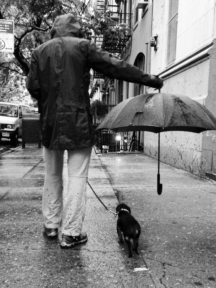 Una persona camina bajo la lluvia sosteniendo el paraguas sobre su perro